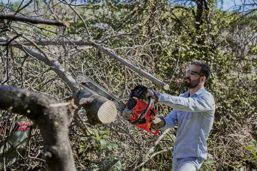 Avantages d'Elagage et abatage d'arbres à Albias