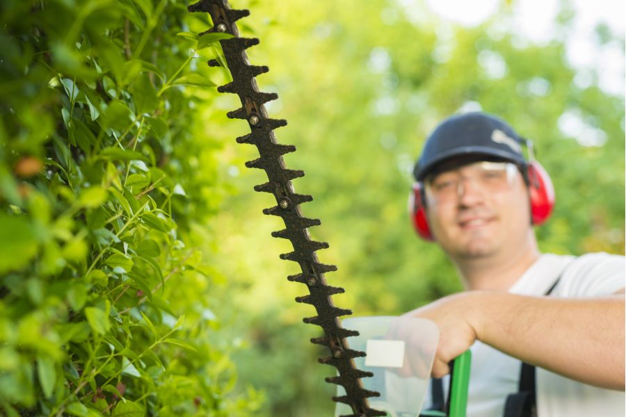 Avantages de Taille de haies et d'arbres à Grisolles